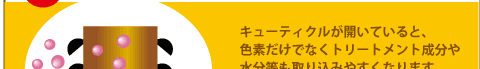キューティクルが開いていると、色素だけでなくトリートメント成分や