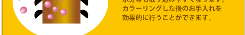 水分等も取り込みやすくなります。カラーリングした後のお手入れを効果的に行うことができます。